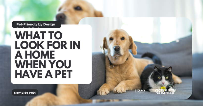 Pet-Friendly by Design: What to Look for in a Home When You Have Animals